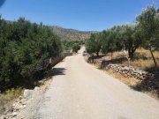 Pines MIT BESICHTIGUNGSVIDEO: Bauland am Meer mit Panoramablick auf die Bucht von Elounda Grundstück kaufen